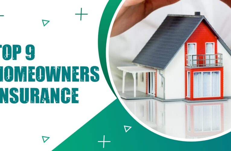 Exploring the Top 9 Homeowners Insurance Providers in the USA